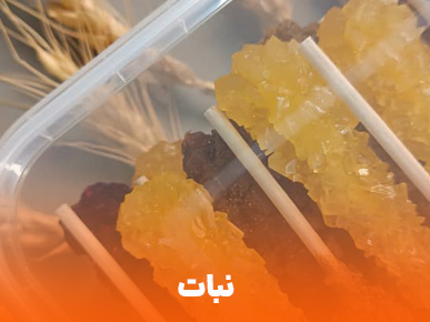 نبات